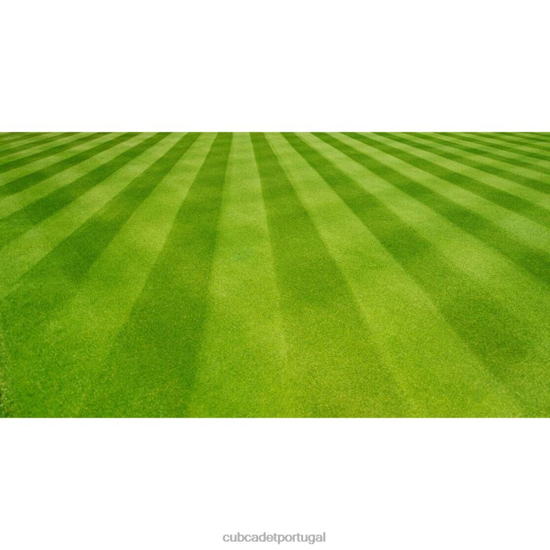 Cub Cadet kit de distribuição de gramado para decks de 54 pol. acessório RDL48100